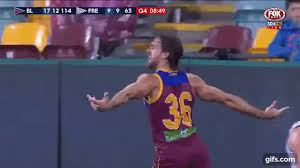 Watch the brisbane lions vs. Preview Geelong Cats Vs Brisbane Lions 28 7 2 10pm Gmhba Stadium Bigfooty