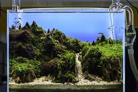 Best Led Aquarium Lighting The Ultimate Guide To Picking The Right One Fishkeeping World