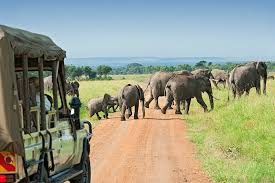 R10,000 baggage cover against damage or theft. Travel Insurance For South Africa Iselect