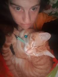 I love doing themed/decorated photos of Blaze so can anyone show me their  photos so I can get some more ideas! I did this one today with a ball pit  🐶🐾