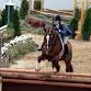 Blowing Rock Charity Horse Show I