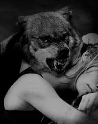 Pin By Sbn Hulya On Lone Wolf Wolves And Women Wolf Love Wolf Spirit