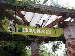 Central park's original plan designed by frederick law olmsted and calvert vaux excluded a zoo, but park commissioners responded to the ad hoc housing of animals by seeking a location for a. Central Park Zoo