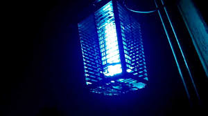 Flowtron Very Effective Bug Zapper Youtube