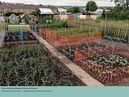 How To Start Your Own Allotment | Dunster House