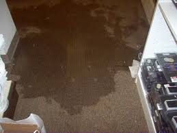 Often times if you have wet carpeting in your basement, it is possible that other parts of your property has been effected by the flooding also. What You Should Do After The Flood
