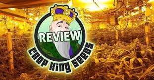 Crop King Seeds Review King Sport Team Logos Seeds