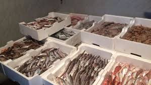 Trota è il nome comune che accomuna varie specie di pesci della famiglia salmonidae. La Marineria Di Pescara Vuole Tornare In Mare Facciamo Ripartire La Filiera Del Pesce Fresco Locale
