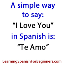 To say we would like… in spanish: How Do You Say I Love You In Spanish Learning Spanish For Beginners