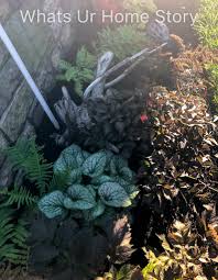 Perennial shade flowers zone 6. 10 Best Perennials For Shade Whats Ur Home Story