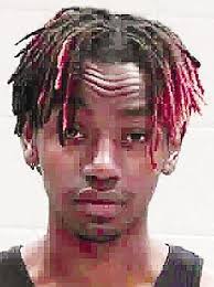 Juvenile, puppy suffer after shots fired