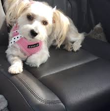 Gutter installation companies in Pembine?