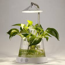 However, your plant is unlikely to thrive, depending on how dark the corner actually is. Other Considerations For Indoor Gardening Under Red Blue Lights It S Normal For Your Plants To Be A Da Grow Lights For Plants Grow Lights Indoor Grow Lights