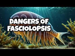 Image result for Dissotis falcipila