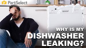 A leaking dishwasher is a common problem. Why Is My Dishwasher Leaking Partselect Com Youtube