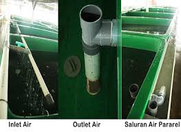 Pembenihan Lele Sistem Ras Akua Tekno Trobos Aqua Com