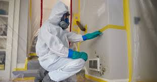 How to Safely Remove Mold [DIY & Professional] - Mold Removal FAQs