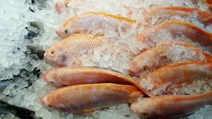 Maka dari itu medis melarang ibu yang masih trimester pertama untuk mengkonsumi jeroan hati sapi ataupun hati ayam ini. 11 Makanan Yang Dilarang Untuk Ibu Hamil Dan Bahayanya