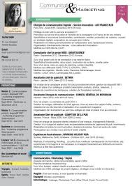 Laurie Aufschneider Chef De Projet Communication Cv Charge De Communication Chef De Projet Web Cv Digital