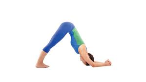 Dolphin Pose Yoga Journal Dolphin Pose Dolphin Pose Yoga Standing Yoga Poses