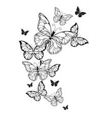 Outline draw a butterfly easy step by step draw easy for kids learning butterfly art paper drawing video link: Contour Butterfly Vector Images Over 5 400