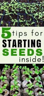 Indoor Gardening Tips Get Your Vegetable Garden Off To A Great Start With These S Organic Vegetable Garden Indoor Vegetable Gardening Vegetable Garden Planner