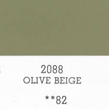 Image result for Olive Beige 1969 Buick