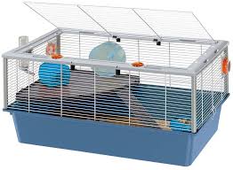 Learn more about our products! Ferplast Cage For Hamsters Small Rodents Criceti 15 Two Storey Hamster Cage Accessories Included White Painted Metal With Plastic Frame And Bottom 78 X 48 X H 39 Cm Amazon Co Uk Pet Supplies