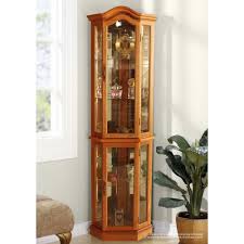 Unbranded Floor Standing Oak Lighted Curio Cabinet Fscc2000 1mk The Home Depot