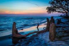 › free child care training hours online. Free Online Childcare Training Daycare Com Forum