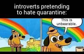 The lockdown memes had descended. Time For A New Lockdown Happy Memes Internet Funny Top Memes