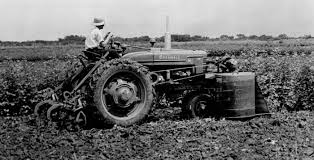 Image result for Agricultural Yellow 2000 Fleet