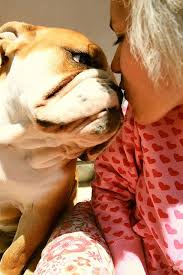 Momy I Love You Bulldogs Pinterest