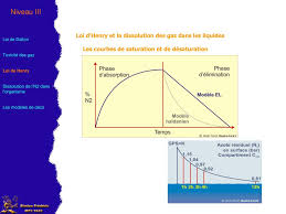 (co2) gaz (co2) aqueux (dans le cas du dioxyde de carbone). Ppt Loi De Dalton Toxicite Des Gaz Loi De Henry Dissolution De L N2 Dans L Organisme Powerpoint Presentation Id 3410874