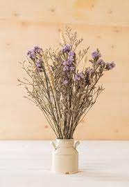 Free Photo Statice And Caspia Flowers
