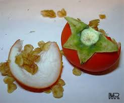 Image result for Solanum aculeatissimum