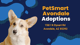 PetSmart Avondale Adoption Event