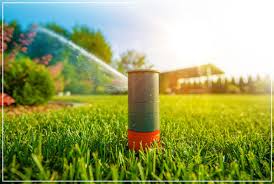 Lawn care and landscaping companies near me. Local Landscaping Companies Walpole Landscaping Walpole Ma Lawn Service Near Me 2081 Acres Of Green