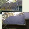 How to remove moss from roof tiles? 1
