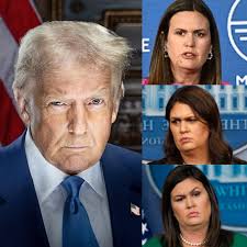 The Storm Trump Walked Away From: What Arkansas Learned About Loyalty in  the Wreckage By Tony Pentimalli When the skies opened over Arkansas