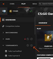 Statistics of matches, teams, languages and platforms. Creating A Tournament Faceit