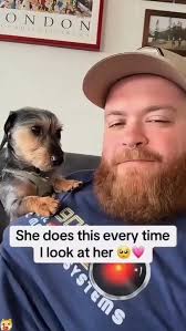 Dog's with their favorite Human ❤️💕❤️💕