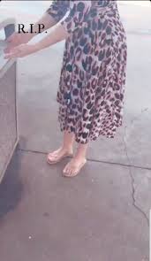 Sub dedicated to feet in nylons. Shannon Bream S Feet Wikifeet
