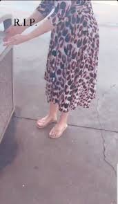 Shannon bream feet (7 photos). Shannon Bream S Feet Wikifeet