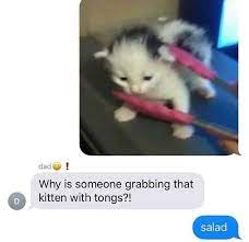 Https Www Instagram Com P Cefnkwrkwau Igshid 1uivrj6viyll5 Love You Funny Love You Funny Quotes Memes