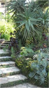 Beautiful Views Succulent Garden Los Angeles Succulent Garden Design Planting Succulents Plants