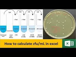 Then, the number of bacteria in 1 ml of the original sample can be calculated as follows How To Calculate Colony Forming Units Cfu Ml In Excel Youtube