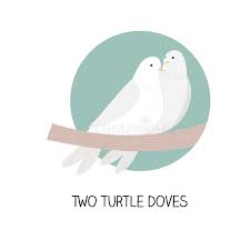 We did not find results for: Two Turtle Doves Stock Illustrations 16 Two Turtle Doves Stock Illustrations Vectors Clipart Dreamstime