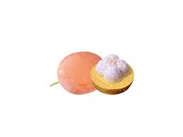 Image result for Garcinia livingstonei