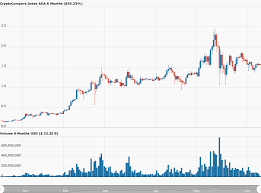 Crypto has been having an extremely rocky past few months but is set to be back on the climb. Crypto Analyst Says Cardano Ada Price Very Likely To Go Over 10 In 2021 Cryptoglobe